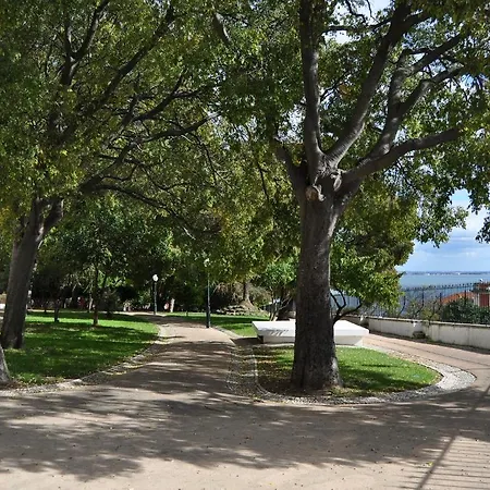 Hello Santa Apolonia *